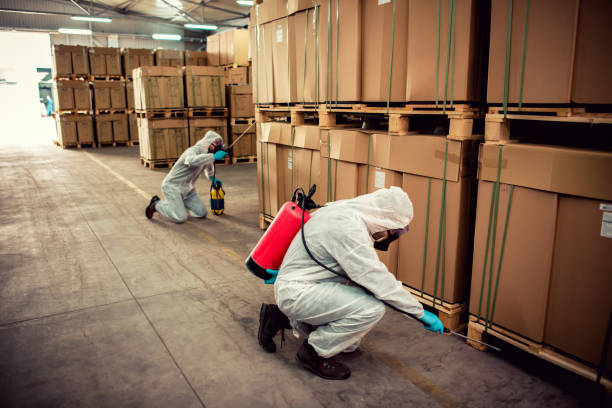 Best Pest Inspection Near Me  in Byram, MS