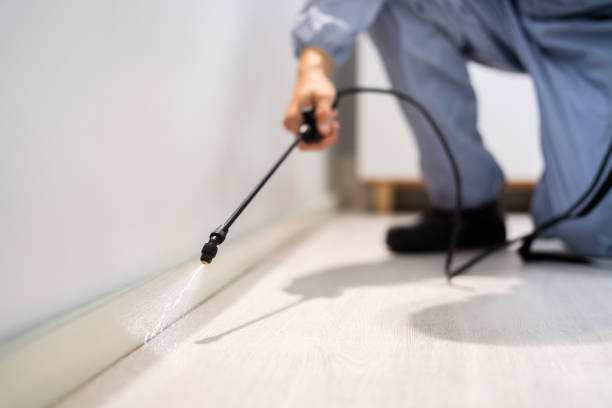 Best Pest Removal Services  in Byram, MS