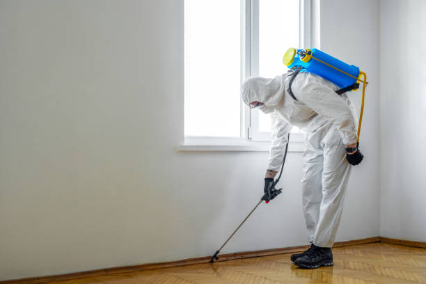 Best Emergency Pest Control  in Byram, MS