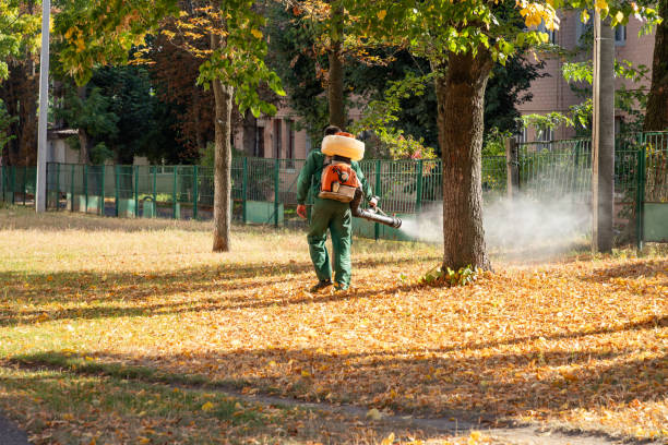 Best Local Pest Control Services  in Byram, MS